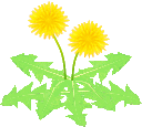 dandelion3.gif