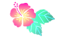 hibisucus17.gif