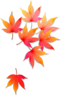 2.gif